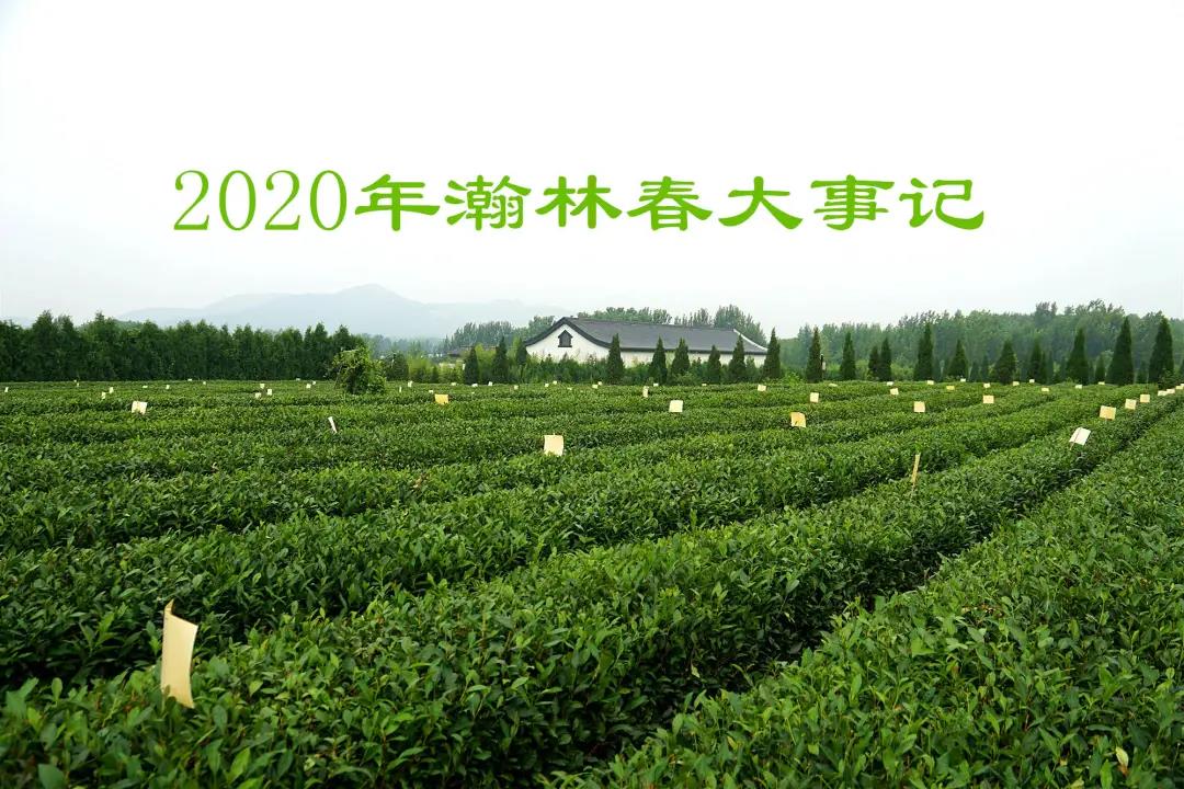 ƵZ^M^m(x)ǰ|ִ2020ӛ