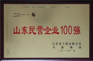 2011ɽ|II(y)100(qing)